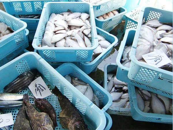 imgi_6_about_flow_01